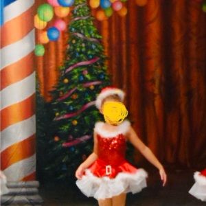 Dansco Dance recital costume